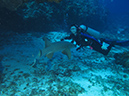 2011-12-06 Paso cel Cedral Reef (9)