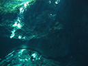 2011-12-08 Cenote Kululkan (2)