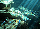 2011-12-08 Cenote Kululkan (8)