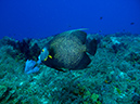 2011-12-07 Punta Tunish Wall (4)