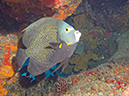 2011-12-04 Tormentos Reef (5)