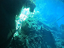 2011-12-08 Cenote Chac-Mool (6)
