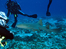 2011-12-06 Paso cel Cedral Reef (7)