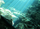 2011-12-08 Cenote Kululkan (7)