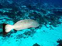 2011-12-07 Punta Tunish Wall (5)