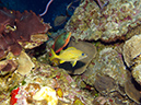 2011-12-07 Palancar Caves (4)