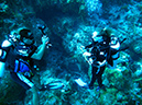 2011-12-06 Punta Sur Reef - Catherdal (2)