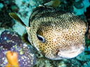 %_tempFileName2014-07-21_01_Palancar-7210544%