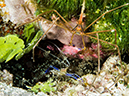 %_tempFileName2014-07-22_03_Chankanaab_Reef-7221061%
