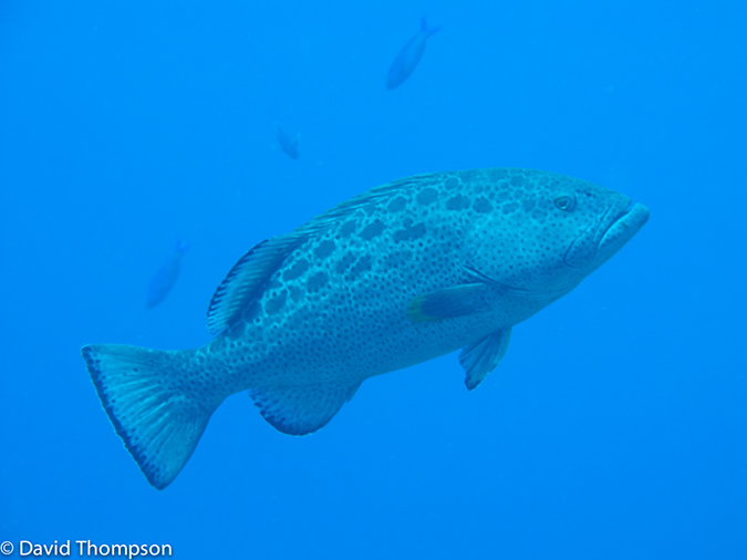 %_tempFileName2012-12-02_1_Planacar_Gardens-18%