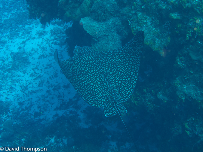 %_tempFileName2012-12-02_1_Planacar_Gardens-23%