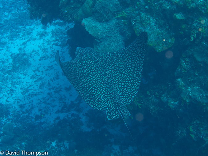 %_tempFileName2012-12-02_1_Planacar_Gardens-24%