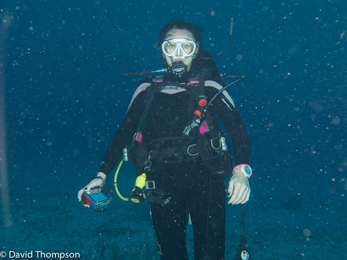 %_tempFileName2012-12-02_3_Paradise_Reef-71%