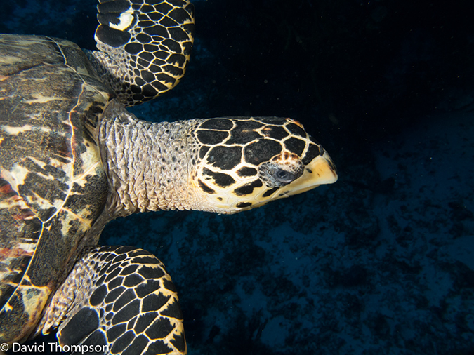 %_tempFileName2012-12-03_1_Planacar_Caves-18%