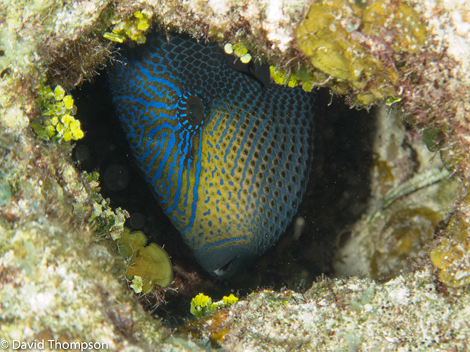 %_tempFileName2012-12-03_1_Planacar_Caves-33%