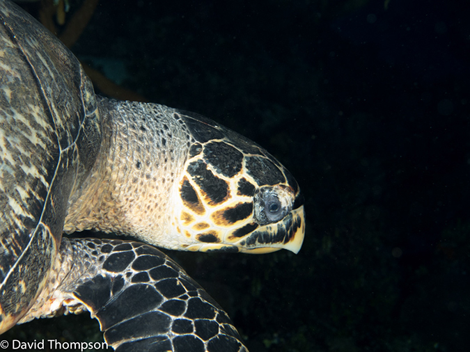 %_tempFileName2012-12-03_1_Planacar_Caves-5%