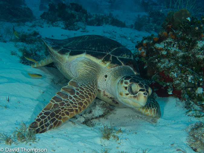 %_tempFileName2012-12-03_2_Paso_del_Cedral-15%