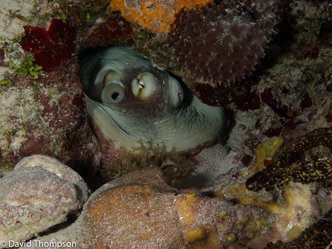 %_tempFileName2012-12-03_2_Paso_del_Cedral-32%