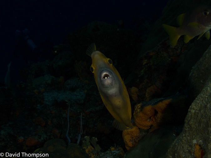 %_tempFileName2012-12-03_2_Paso_del_Cedral-34%