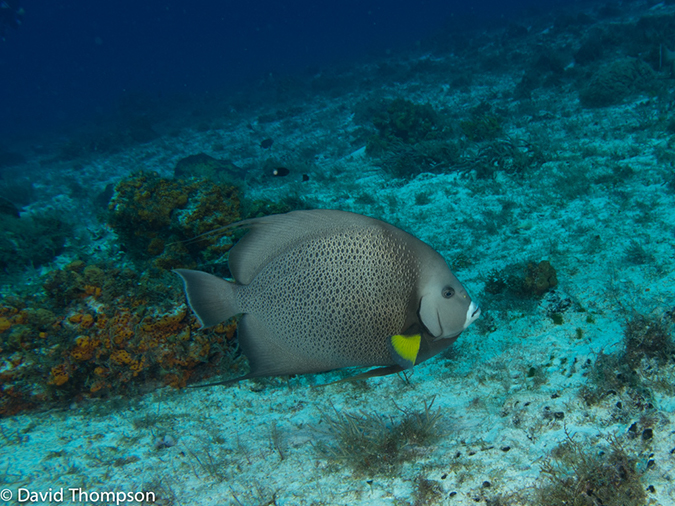 %_tempFileName2012-12-03_2_Paso_del_Cedral-37%