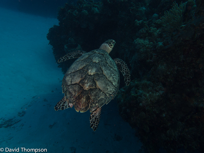 %_tempFileName2012-12-04_1_Planacar_Cueones-21%