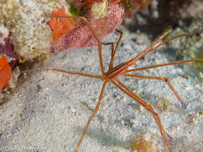 %_tempFileName2012-12-04_2_Punta_Tunish_Wall-23%