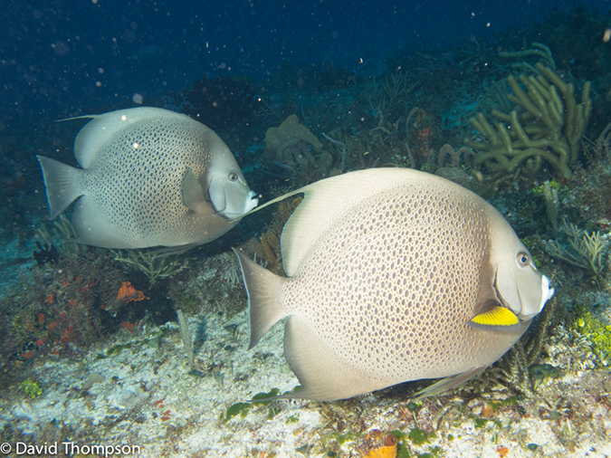 %_tempFileName2012-12-04_2_Punta_Tunish_Wall-42%