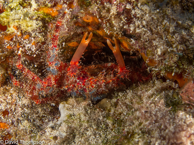 %_tempFileName2012-12-04_2_Punta_Tunish_Wall-51%