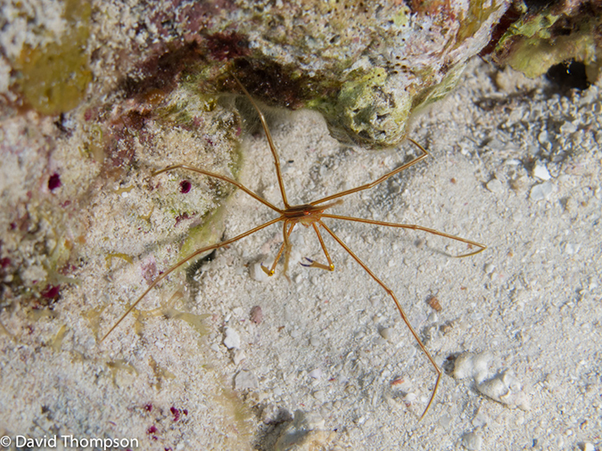 %_tempFileName2012-12-04_2_Punta_Tunish_Wall-9%