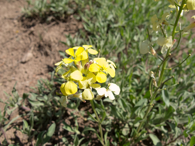 %_tempFileName2013-06-30_1_Durango_Crater_Lake-10%