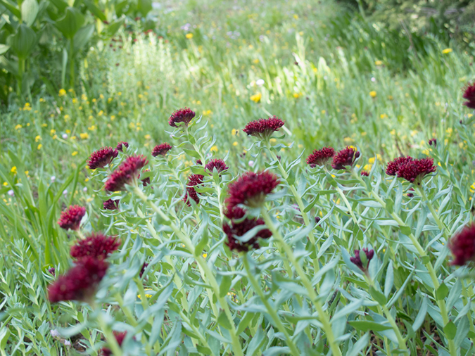 %_tempFileName2013-06-30_1_Durango_Crater_Lake-24%