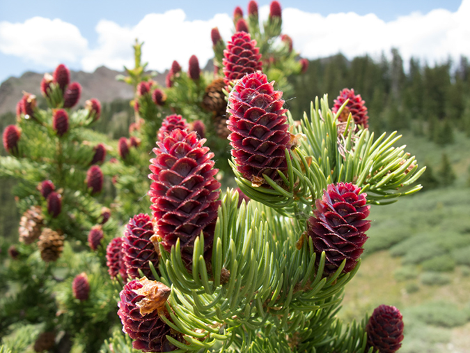 %_tempFileName2013-06-30_1_Durango_Crater_Lake-32%