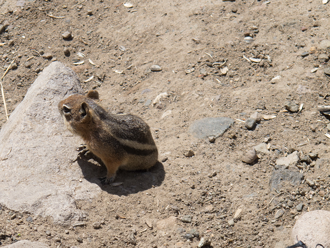 %_tempFileName2013-07-01_1_Wolf_Creek_Pass_Treasure_Falls-1%