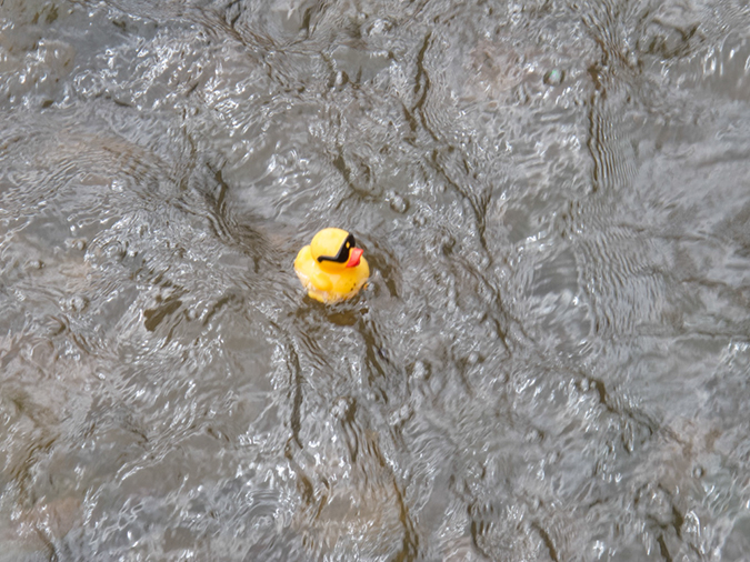 %_tempFileName2013-05-04_1_Estes_Park_Duck_Race-6%