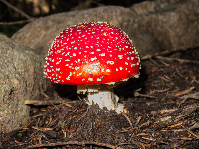 %_tempFileName2013-08-14_estes_Park_Deer_Lake-2%