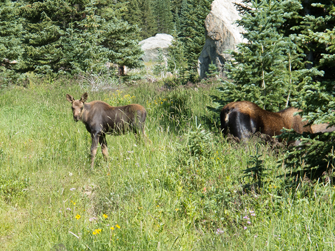 %_tempFileName2013-08-14_estes_Park_Deer_Lake-30%