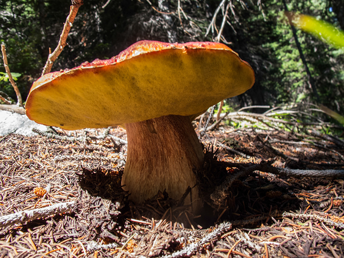 %_tempFileName2013-08-14_estes_Park_Deer_Lake-44%
