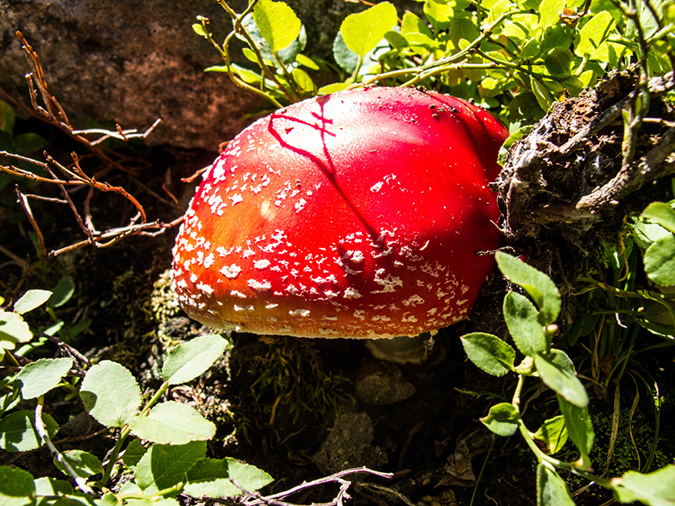 %_tempFileName2013-08-14_estes_Park_Deer_Lake-46%