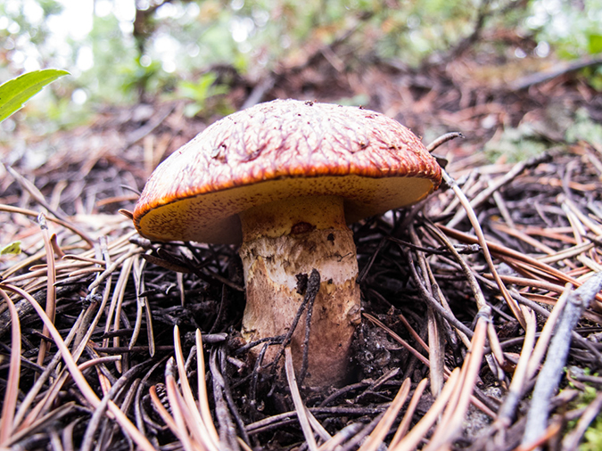 %_tempFileName2013-08-16_Lumpy_Ridge_loop-10%