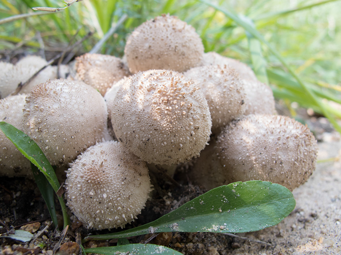 %_tempFileName2013-08-16_Lumpy_Ridge_loop-7%