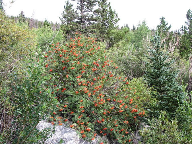 %_tempFileName2013-09-05_Black_lake-1%