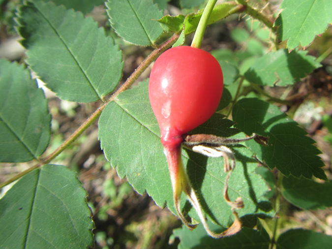 %_tempFileName2013-09-06_McGregor_Falls-5%