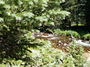 %_tempFileName2013-08-14_estes_Park_Deer_Lake-38%
