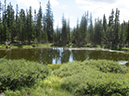 %_tempFileName2013-08-28_Forest_Lake_James_Peak_Wilderness-28%