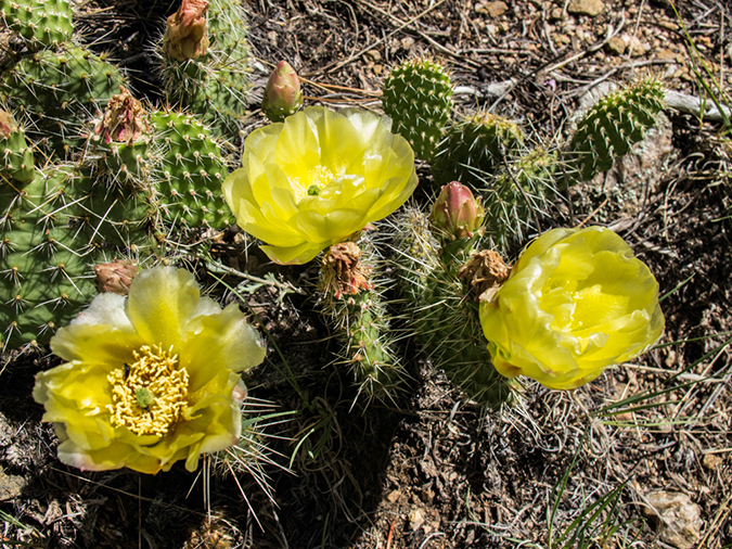 %_tempFileName2013-07-08_1_Estes_Park_Gem_Lake-22%