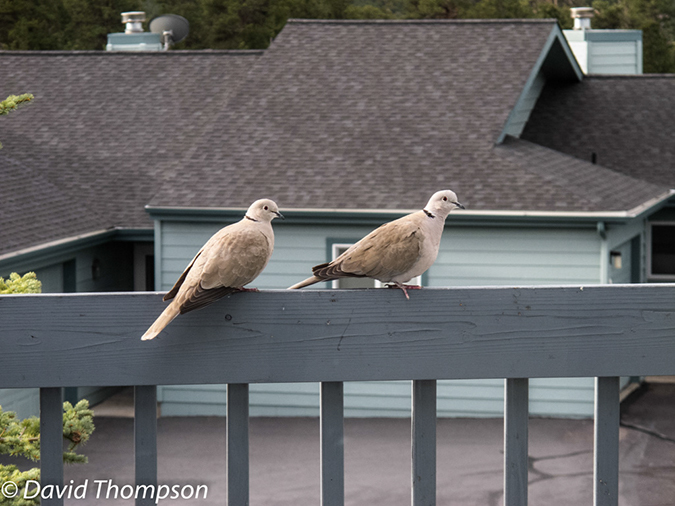%_tempFileName2013-06-01_0_Estes_Park-4%