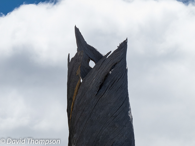 %_tempFileName2013-06-01_1_Ouzel_Lake-31%