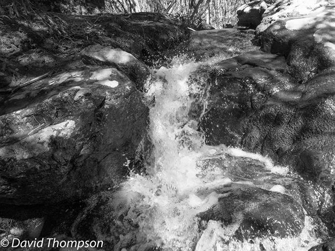 %_tempFileName2013-06-06_Homestead_Meadows-8%