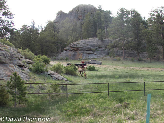 %_tempFileName2013-06-07_Twin_Sisters-1%