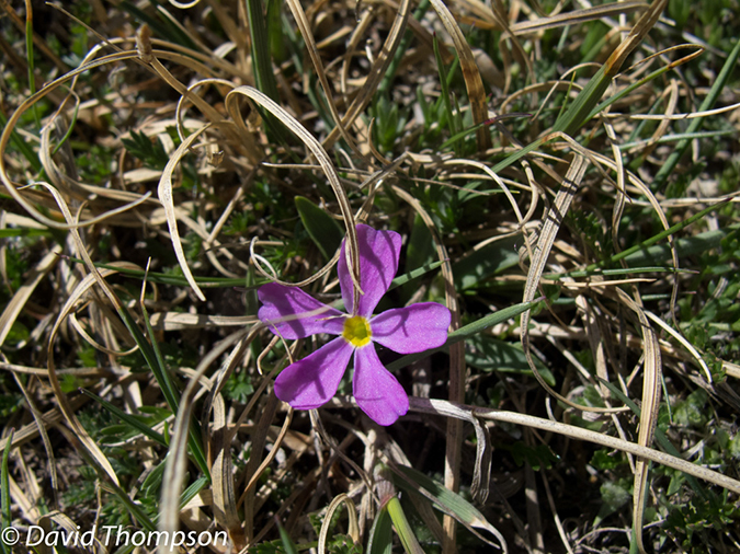 %_tempFileName2013-06-07_Twin_Sisters-12%